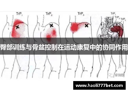 臀部训练与骨盆控制在运动康复中的协同作用